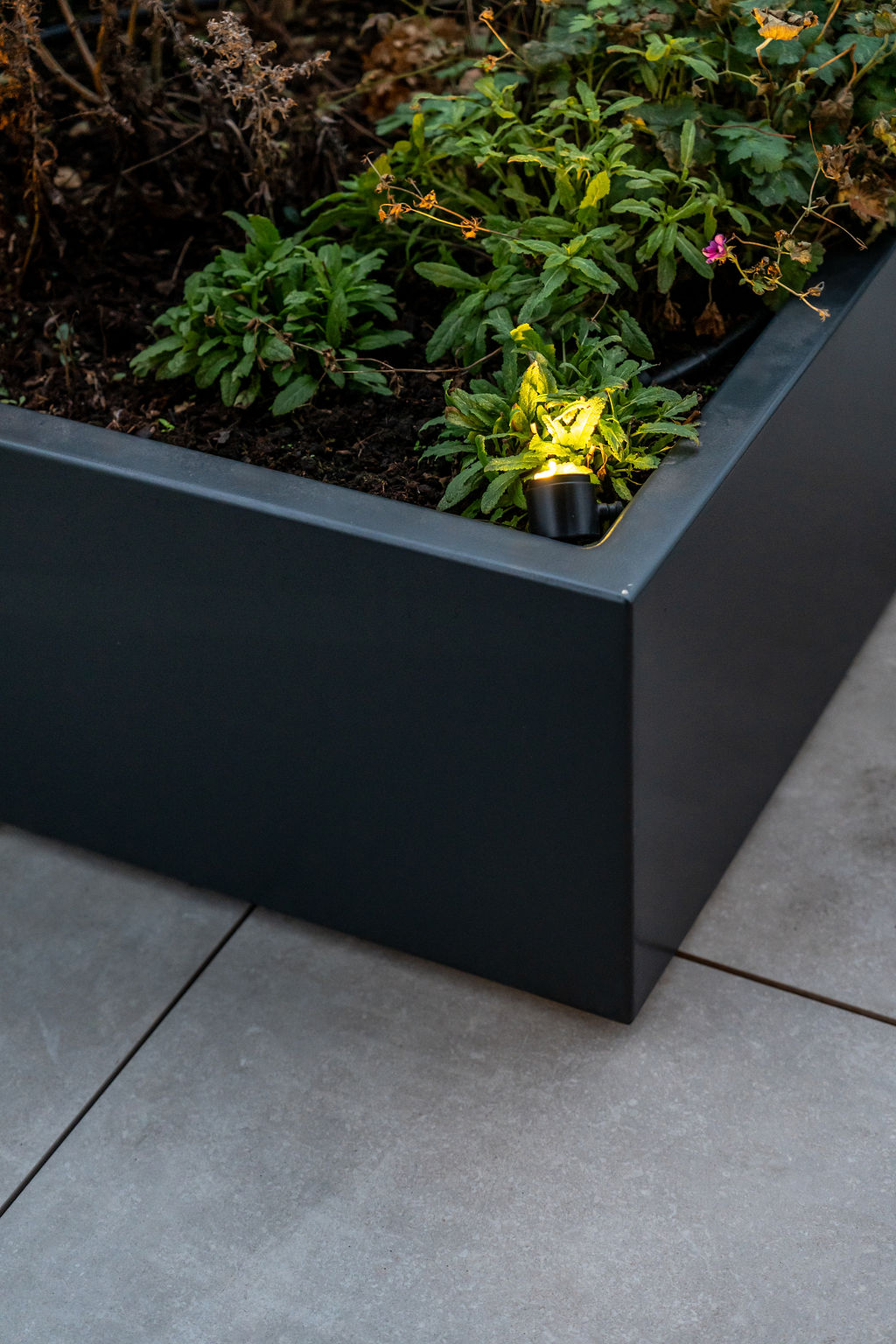 plantenbak met verlichting