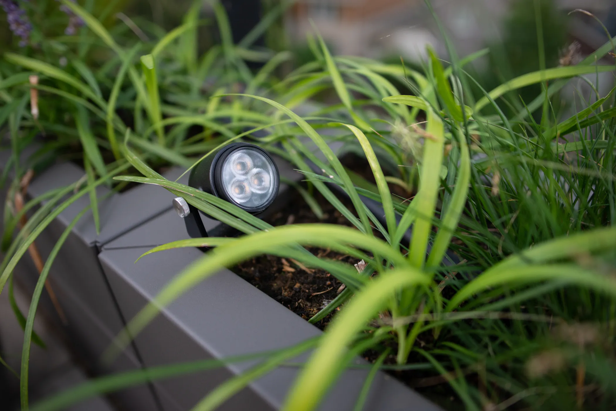 mini scope in plantenbak