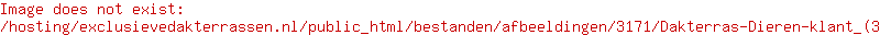 Exclusieve Dakterrassen