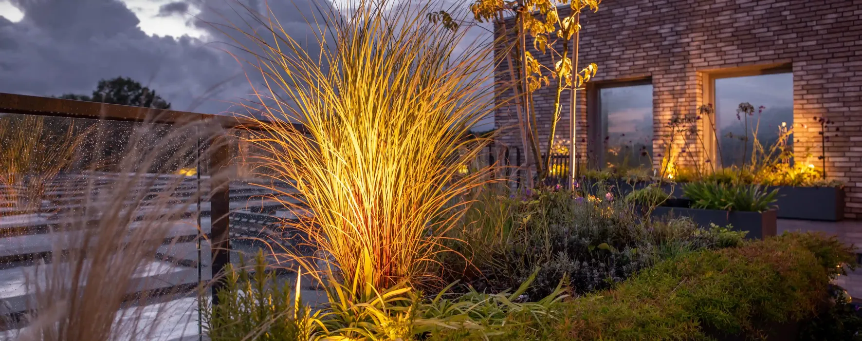 planten met verlichting