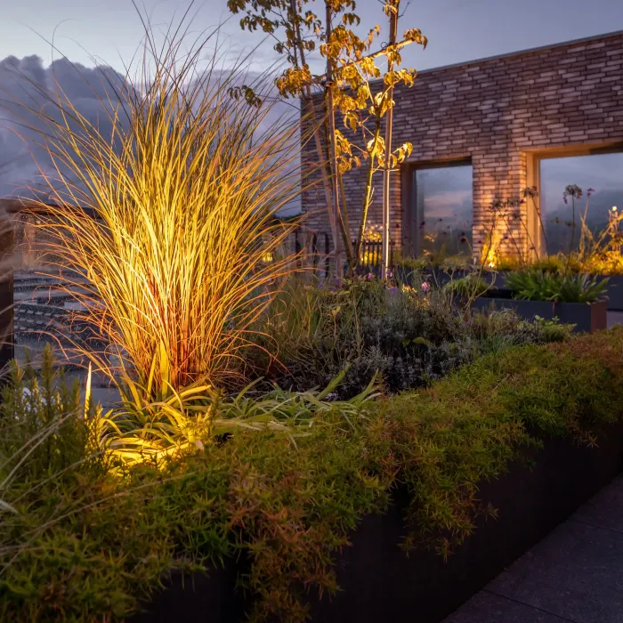 dakterras in het donker