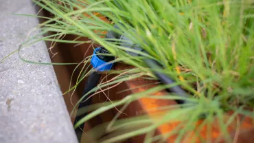 Zo onderhoud je gemakkelijk je planten