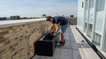 Hovenier of dakterrasspecialist? Welke past beter bij jouw project