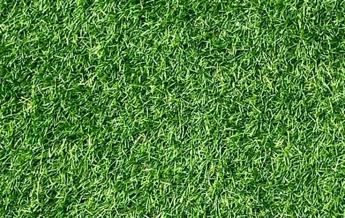 comfort kunstgras