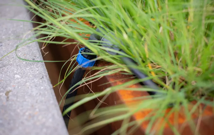 Zo onderhoud je gemakkelijk je planten