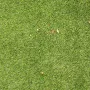pure kunstgras